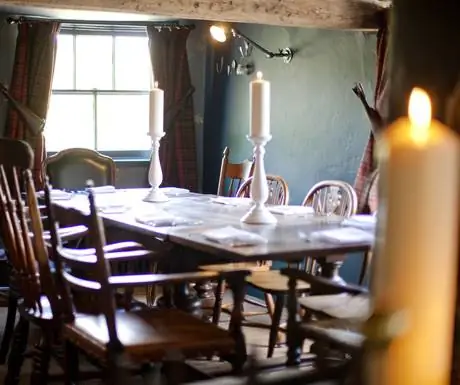 Тисовое дерево