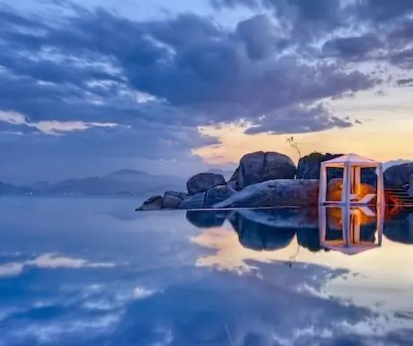 Ан Лам - Вид