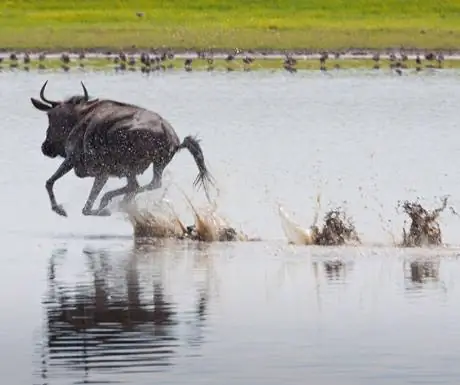 Люва равнина