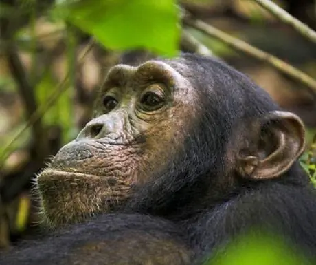 Национальный парк Махале