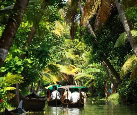 Заводи, Кочи, Керала