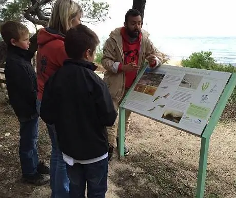 Сани лесная прогулка