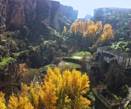 Альхама