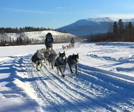 Yukon Quest - еще свежий в первый день