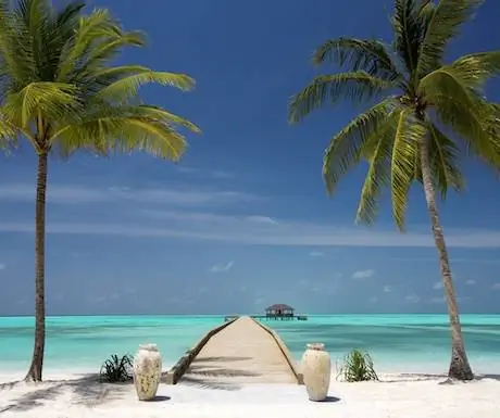 2 роскошных курорта на Мальдивах, где веганская роскошь доведена до совершенства