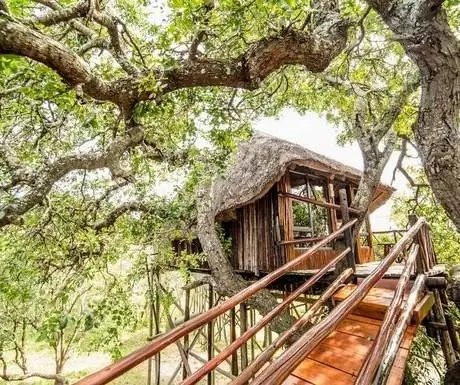 Пезулу Лодж