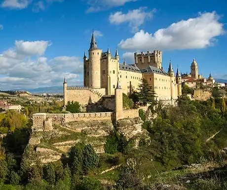 Водитель и машина