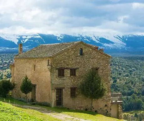 Водитель и машина