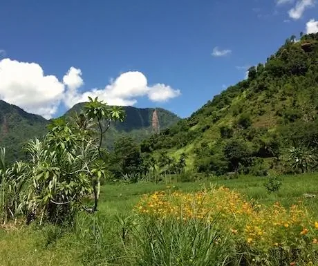 Java_15