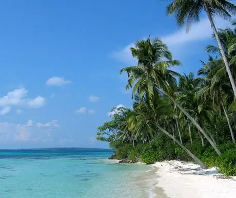 Кура Кура, Индонезия