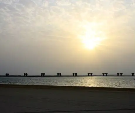 Вид на JA Palm Treet Court