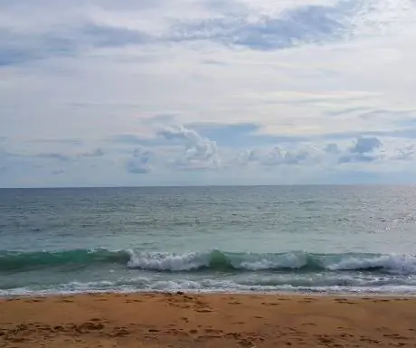 Черепаховая прогулка