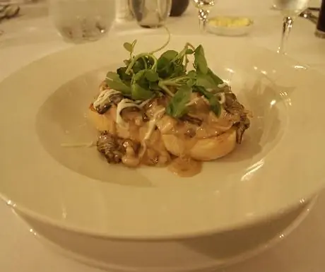 Грибы на бычьем пастбище