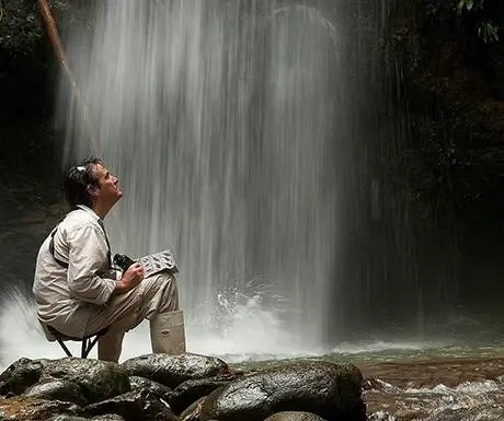 Машпи Джангл Лодж