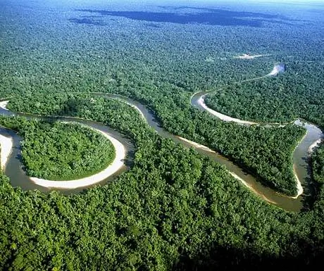 Сельва Лодж 2