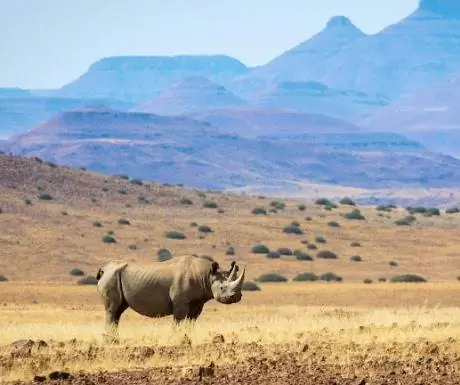 Бесплатный роуминг Rhino в Дамараленде