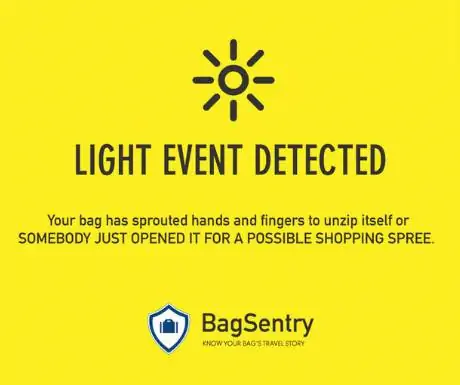 Обнаружено световое событие BagSentry