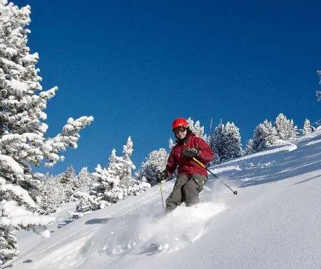Солнечный день в Панораме