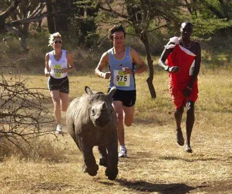 Марафон Lewa для TUSK Lewa Conservancy Марафон Lewa для TUSK Lewa Conservancy