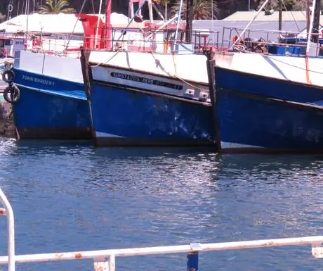 Различные лодки в гавани