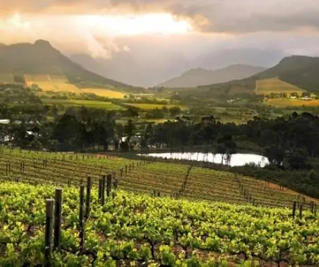 слайдер_views_2