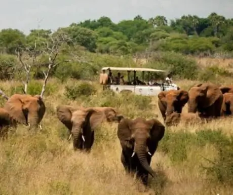 слайдер_morkuru-game-drive_3