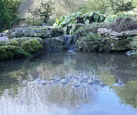 Сизерг всплеск