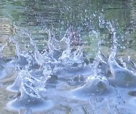 Сизерг всплеск крупным планом