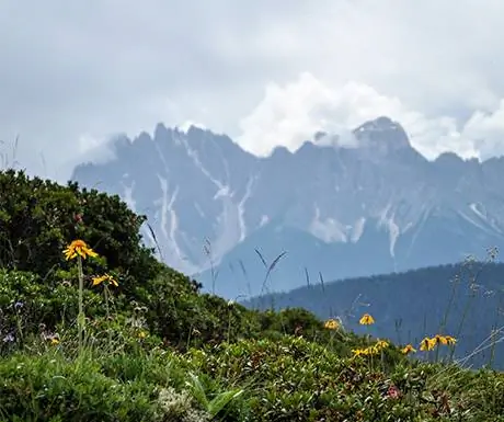 Южный Тироль велнес