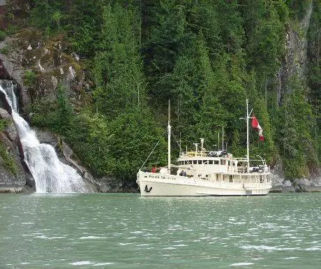 Тихоокеанский желтоперый