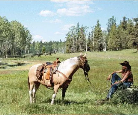 Великолепная семерка