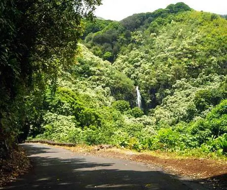 Хана-роуд с водопадом Вайлуа вдалеке