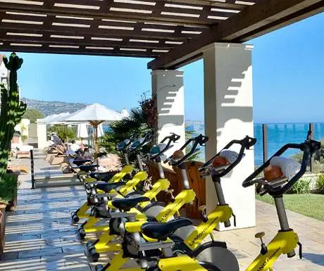 Терранеа Гимнастика