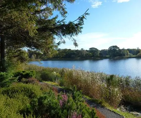 Сад доктора Нилса в Эдинбурге