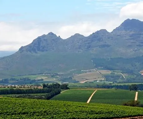 4 лучших гастрономических направления для путешественников класса люкс