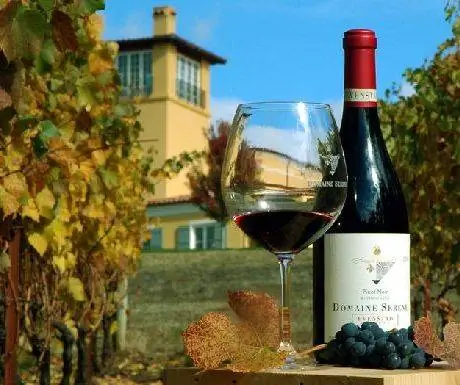 Домен Серен