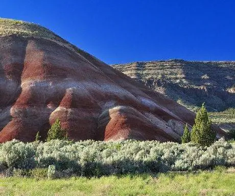 Раскрашенные холмы