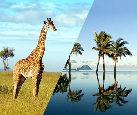 Южная Африка и Маврикий