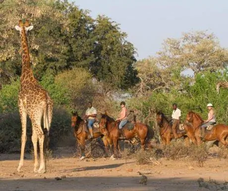Верховая езда на сафари - лагерь Машату - район Тули