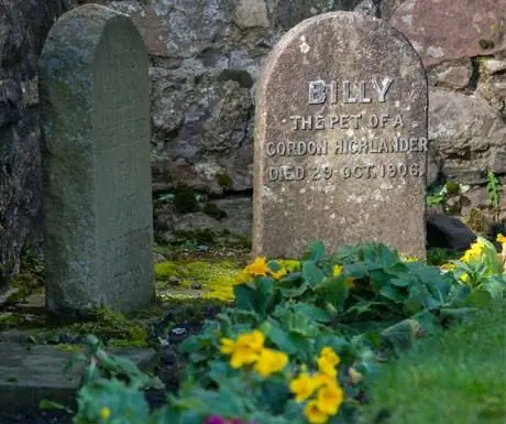 Кладбище домашних животных