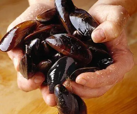 Морепродукты в Ирландии