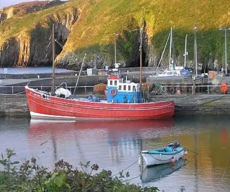 4 лучших гастрономических впечатления Ирландии