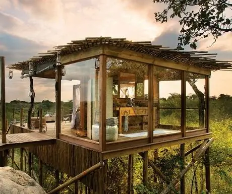 Кингстон-дерево-ночлег