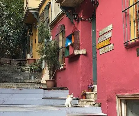 Сердари Экрем