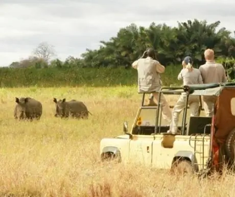 просмотр носорогов в Меру из Эльзаса