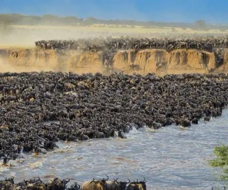 1-великая миграция