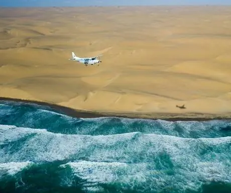 4-скелет-побережьеjpg