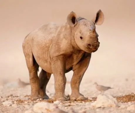 6-саби-пески-резервjpg