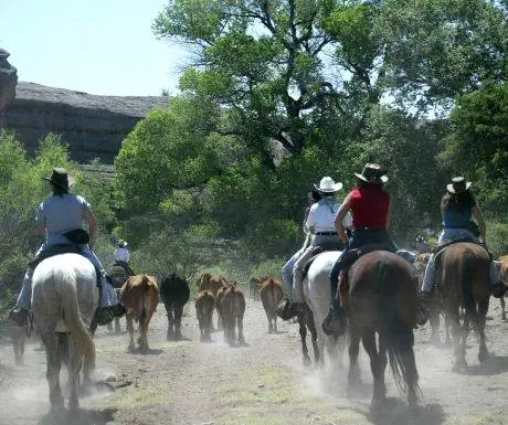 Перевозка скота в Double E