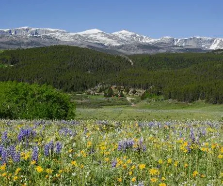 Райское ранчо с видом на полевые цветы